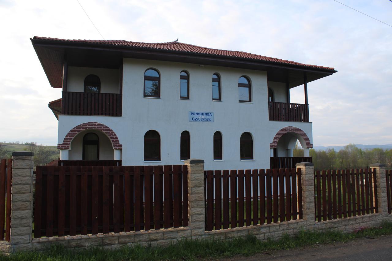 Pensiunea Casa Ungur Cetea Exteriör bild